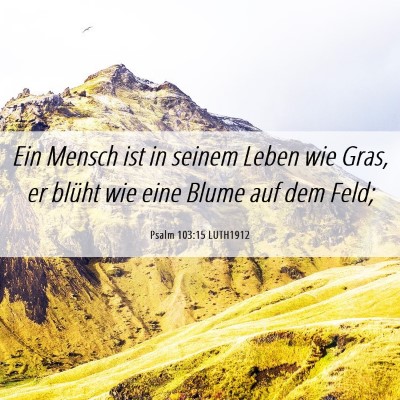 Picture 06 - Psalm 103:15 LUTH1912 - Ein Mensch ist in seinem Leben wie Gras, er - Bible Verse Picture