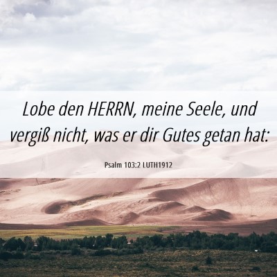 Picture 06 - Psalm 103:2 LUTH1912 - Lobe den HERRN, meine Seele, und vergiß nicht, - Bible Verse Picture