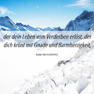 Picture 06 - Psalm 103:4 LUTH1912 - der dein Leben vom Verderben erlöst, der dich - Bible Verse Picture