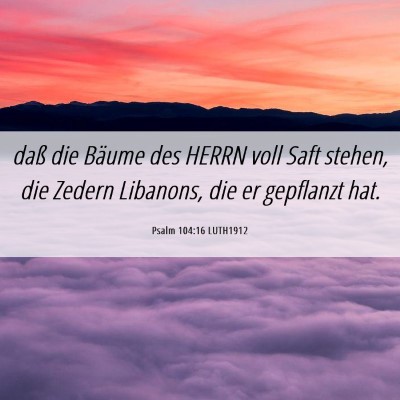 Picture 06 - Psalm 104:16 LUTH1912 - daß die Bäume des HERRN voll Saft stehen, die - Bible Verse Picture
