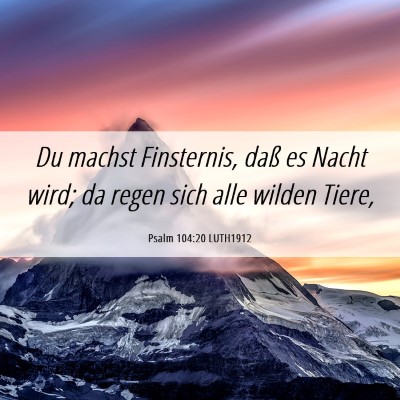 Picture 06 - Psalm 104:20 LUTH1912 - Du machst Finsternis, daß es Nacht wird; da - Bible Verse Picture