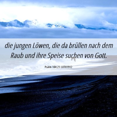 Picture 06 - Psalm 104:21 LUTH1912 - die jungen Löwen, die da brüllen nach dem Raub - Bible Verse Picture