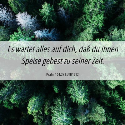 Picture 06 - Psalm 104:27 LUTH1912 - Es wartet alles auf dich, daß du ihnen Speise - Bible Verse Picture