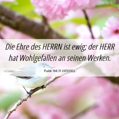Picture 06 - Psalm 104:31 LUTH1912 - Die Ehre des HERRN ist ewig; der HERR hat - Bible Verse Picture