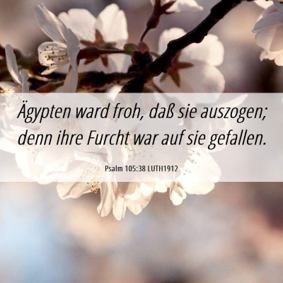 Picture 06 - Psalm 105:38 LUTH1912 - Ägypten ward froh, daß sie auszogen; denn ihre - Bible Verse Picture