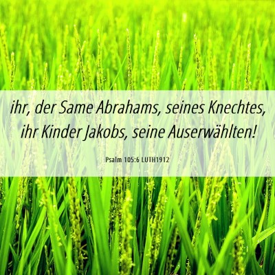 Picture 06 - Psalm 105:6 LUTH1912 - ihr, der Same Abrahams, seines Knechtes, ihr - Bible Verse Picture