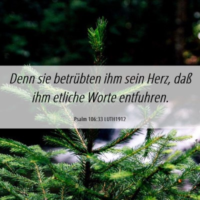 Picture 06 - Psalm 106:33 LUTH1912 - Denn sie betrübten ihm sein Herz, daß ihm - Bible Verse Picture