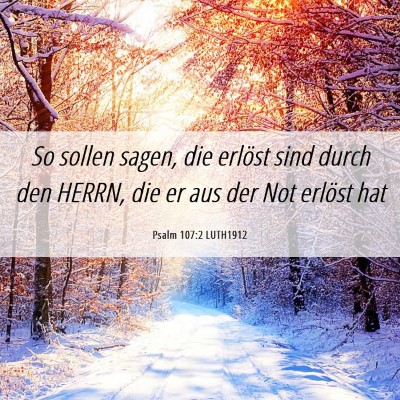 Picture 06 - Psalm 107:2 LUTH1912 - So sollen sagen, die erlöst sind durch den - Bible Verse Picture