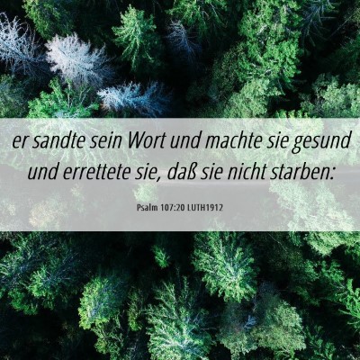 Picture 06 - Psalm 107:20 LUTH1912 - er sandte sein Wort und machte sie gesund und - Bible Verse Picture