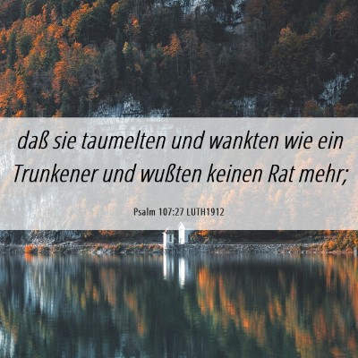 Picture 06 - Psalm 107:27 LUTH1912 - daß sie taumelten und wankten wie ein Trunkener - Bible Verse Picture