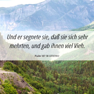 Picture 06 - Psalm 107:38 LUTH1912 - Und er segnete sie, daß sie sich sehr mehrten, - Bible Verse Picture