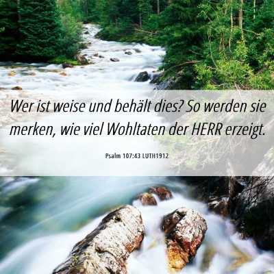 Picture 06 - Psalm 107:43 LUTH1912 - Wer ist weise und behält dies? So werden sie - Bible Verse Picture
