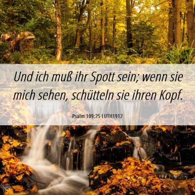 Picture 06 - Psalm 109:25 LUTH1912 - Und ich muß ihr Spott sein; wenn sie mich sehen, - Bible Verse Picture
