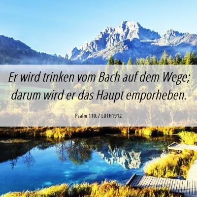 Picture 06 - Psalm 110:7 LUTH1912 - Er wird trinken vom Bach auf dem Wege; darum wird - Bible Verse Picture