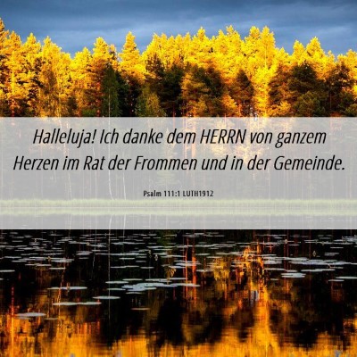 Picture 06 - Psalm 111:1 LUTH1912 - Halleluja! Ich danke dem HERRN von ganzem Herzen - Bible Verse Picture