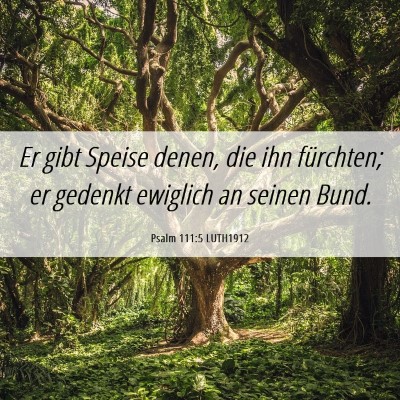 Picture 06 - Psalm 111:5 LUTH1912 - Er gibt Speise denen, die ihn fürchten; er - Bible Verse Picture