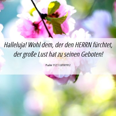 Picture 06 - Psalm 112:1 LUTH1912 - Halleluja! Wohl dem, der den HERRN fürchtet, der - Bible Verse Picture