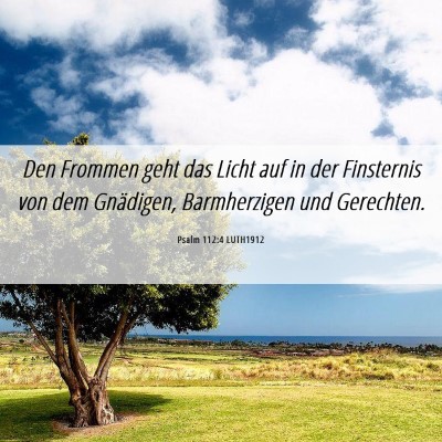 Picture 06 - Psalm 112:4 LUTH1912 - Den Frommen geht das Licht auf in der Finsternis - Bible Verse Picture