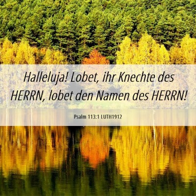 Picture 06 - Psalm 113:1 LUTH1912 - Halleluja! Lobet, ihr Knechte des HERRN, lobet - Bible Verse Picture