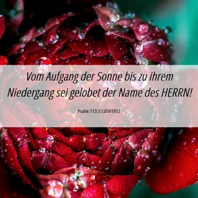 Picture 06 - Psalm 113:3 LUTH1912 - Vom Aufgang der Sonne bis zu ihrem Niedergang sei - Bible Verse Picture