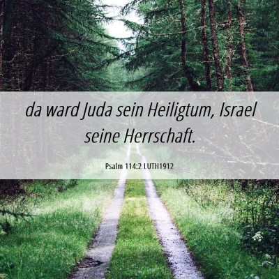 Picture 06 - Psalm 114:2 LUTH1912 - da ward Juda sein Heiligtum, Israel seine - Bible Verse Picture