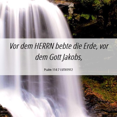 Picture 06 - Psalm 114:7 LUTH1912 - Vor dem HERRN bebte die Erde, vor dem Gott - Bible Verse Picture