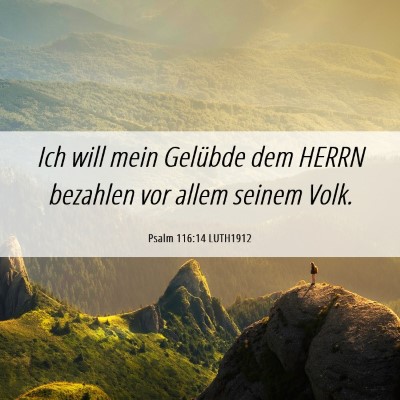 Picture 06 - Psalm 116:14 LUTH1912 - Ich will mein Gelübde dem HERRN bezahlen vor - Bible Verse Picture