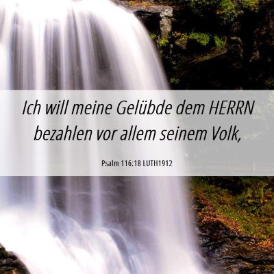 Picture 06 - Psalm 116:18 LUTH1912 - Ich will meine Gelübde dem HERRN bezahlen vor - Bible Verse Picture