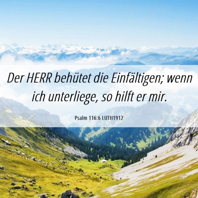 Picture 06 - Psalm 116:6 LUTH1912 - Der HERR behütet die Einfältigen; wenn ich - Bible Verse Picture