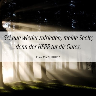 Picture 06 - Psalm 116:7 LUTH1912 - Sei nun wieder zufrieden, meine Seele; denn der - Bible Verse Picture
