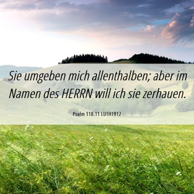Picture 06 - Psalm 118:11 LUTH1912 - Sie umgeben mich allenthalben; aber im Namen des - Bible Verse Picture