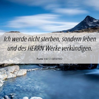 Picture 06 - Psalm 118:17 LUTH1912 - Ich werde nicht sterben, sondern leben und des - Bible Verse Picture