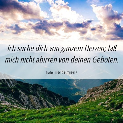Picture 06 - Psalm 119:10 LUTH1912 - Ich suche dich von ganzem Herzen; laß mich nicht - Bible Verse Picture