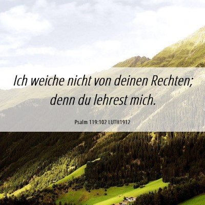 Picture 06 - Psalm 119:102 LUTH1912 - Ich weiche nicht von deinen Rechten; denn du - Bible Verse Picture