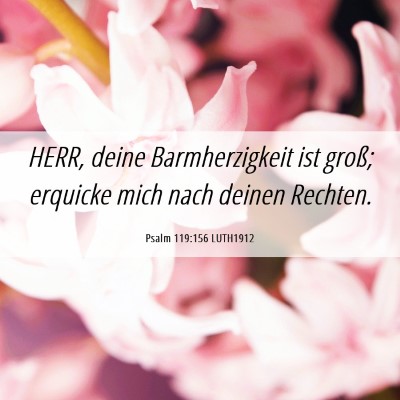 Picture 06 - Psalm 119:156 LUTH1912 - HERR, deine Barmherzigkeit ist groß; erquicke - Bible Verse Picture