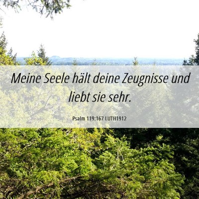 Picture 06 - Psalm 119:167 LUTH1912 - Meine Seele hält deine Zeugnisse und liebt sie - Bible Verse Picture