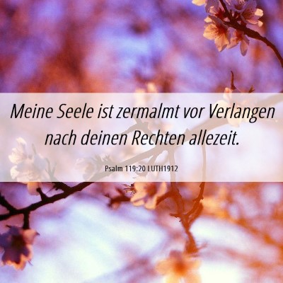Picture 06 - Psalm 119:20 LUTH1912 - Meine Seele ist zermalmt vor Verlangen nach - Bible Verse Picture