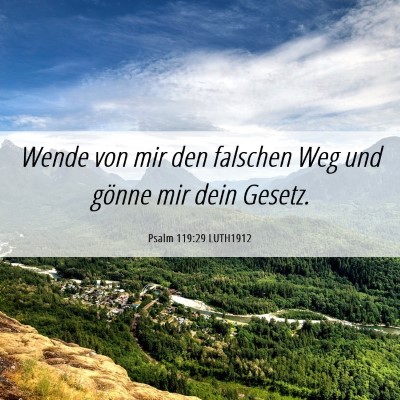 Picture 06 - Psalm 119:29 LUTH1912 - Wende von mir den falschen Weg und gönne mir - Bible Verse Picture