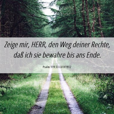 Picture 06 - Psalm 119:33 LUTH1912 - Zeige mir, HERR, den Weg deiner Rechte, daß ich - Bible Verse Picture