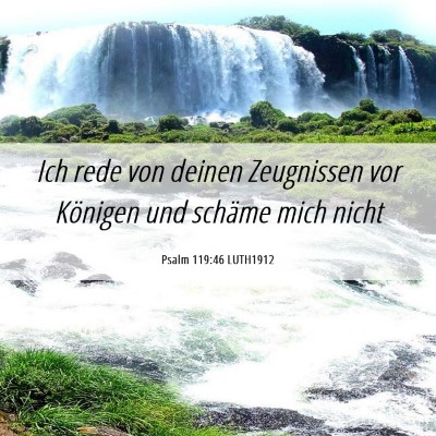 Picture 06 - Psalm 119:46 LUTH1912 - Ich rede von deinen Zeugnissen vor Königen und - Bible Verse Picture
