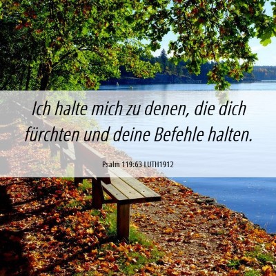 Picture 06 - Psalm 119:63 LUTH1912 - Ich halte mich zu denen, die dich fürchten und - Bible Verse Picture