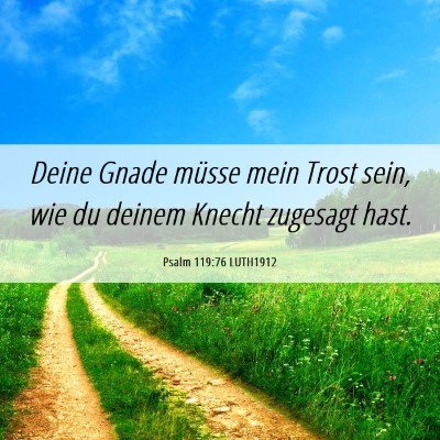 Picture 06 - Psalm 119:76 LUTH1912 - Deine Gnade müsse mein Trost sein, wie du deinem - Bible Verse Picture