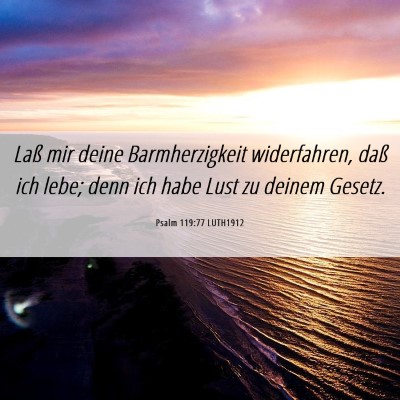 Picture 06 - Psalm 119:77 LUTH1912 - Laß mir deine Barmherzigkeit widerfahren, daß - Bible Verse Picture