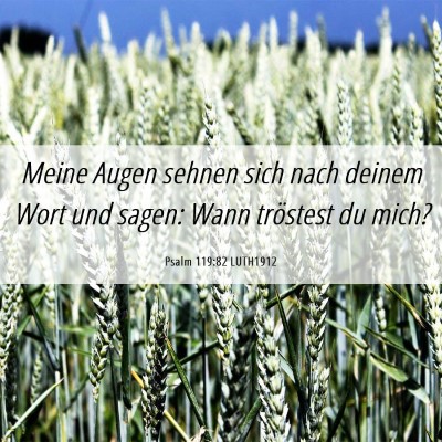 Picture 06 - Psalm 119:82 LUTH1912 - Meine Augen sehnen sich nach deinem Wort und - Bible Verse Picture