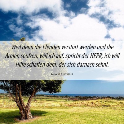 Picture 06 - Psalm 12:5 LUTH1912 - Weil denn die Elenden verstört werden und die - Bible Verse Picture