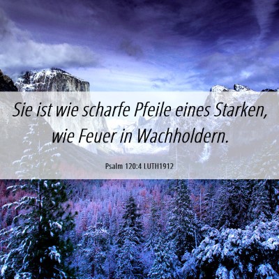 Picture 06 - Psalm 120:4 LUTH1912 - Sie ist wie scharfe Pfeile eines Starken, wie - Bible Verse Picture