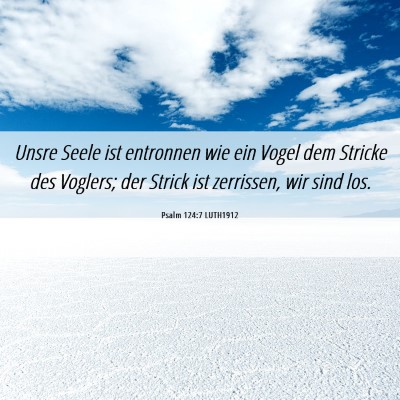 Picture 06 - Psalm 124:7 LUTH1912 - Unsre Seele ist entronnen wie ein Vogel dem - Bible Verse Picture
