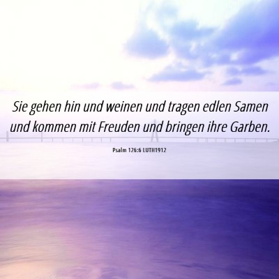 Picture 06 - Psalm 126:6 LUTH1912 - Sie gehen hin und weinen und tragen edlen Samen - Bible Verse Picture