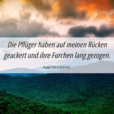 Picture 06 - Psalm 129:3 LUTH1912 - Die Pflüger haben auf meinen Rücken geackert - Bible Verse Picture