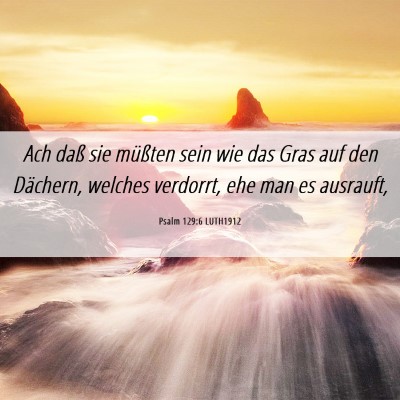 Picture 06 - Psalm 129:6 LUTH1912 - Ach daß sie müßten sein wie das Gras auf den - Bible Verse Picture